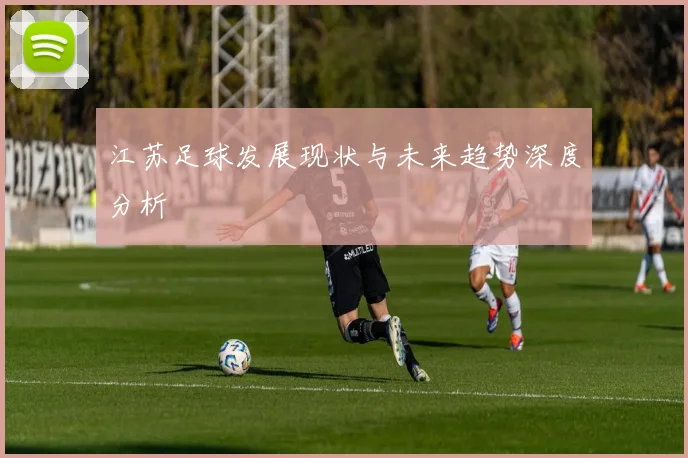 江苏足球发展现状与未来趋势深度分析